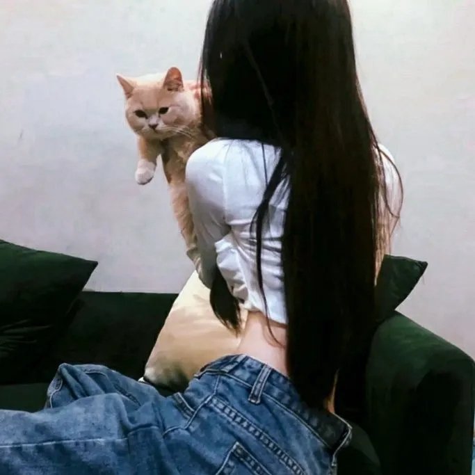 传送